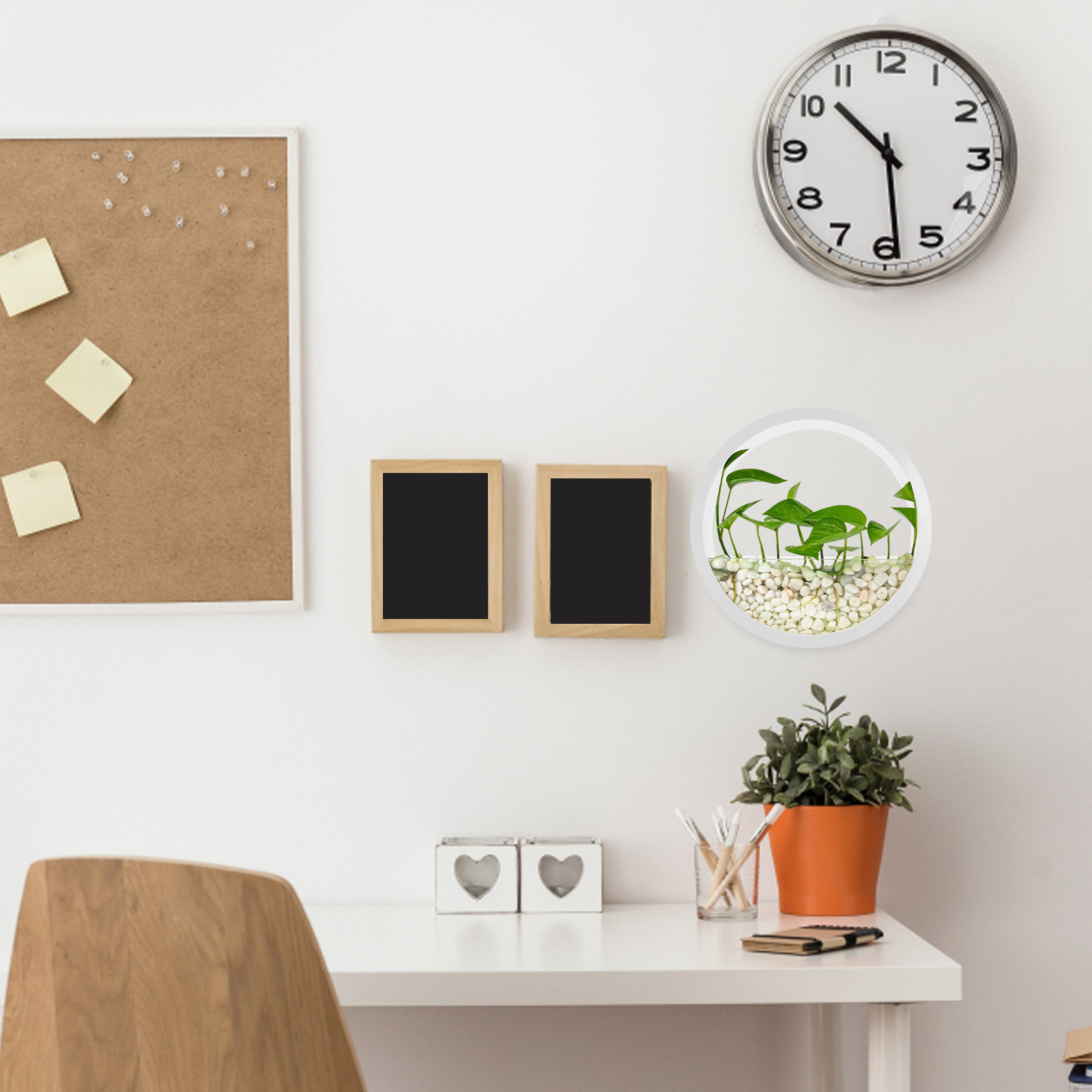 Vertical Wall Planter - Wandmontage vaas rond transparant hydroponisch binnen