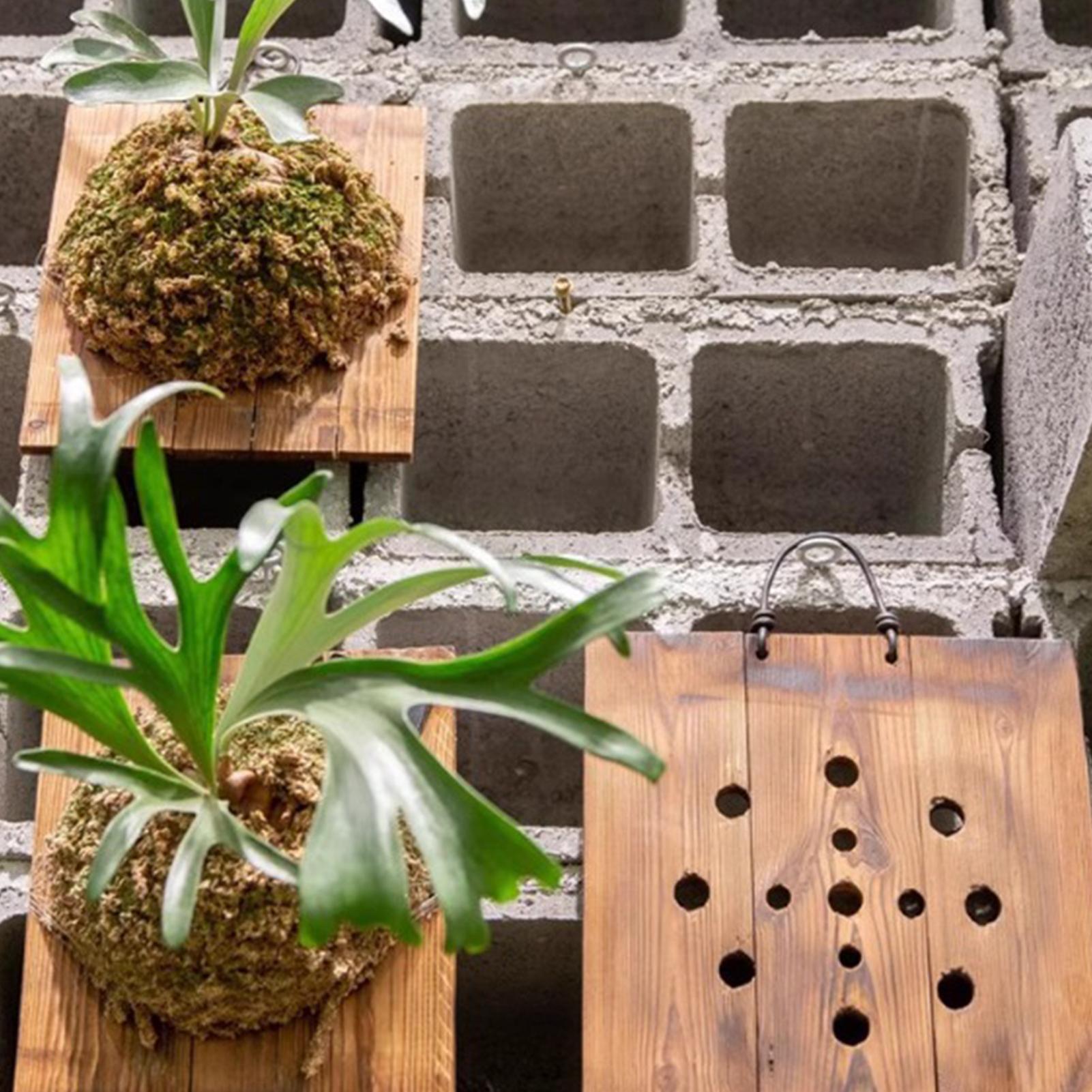 1 Stuks Indoor Houten Staghorn - Vertical Wall Planter recensie en prijs