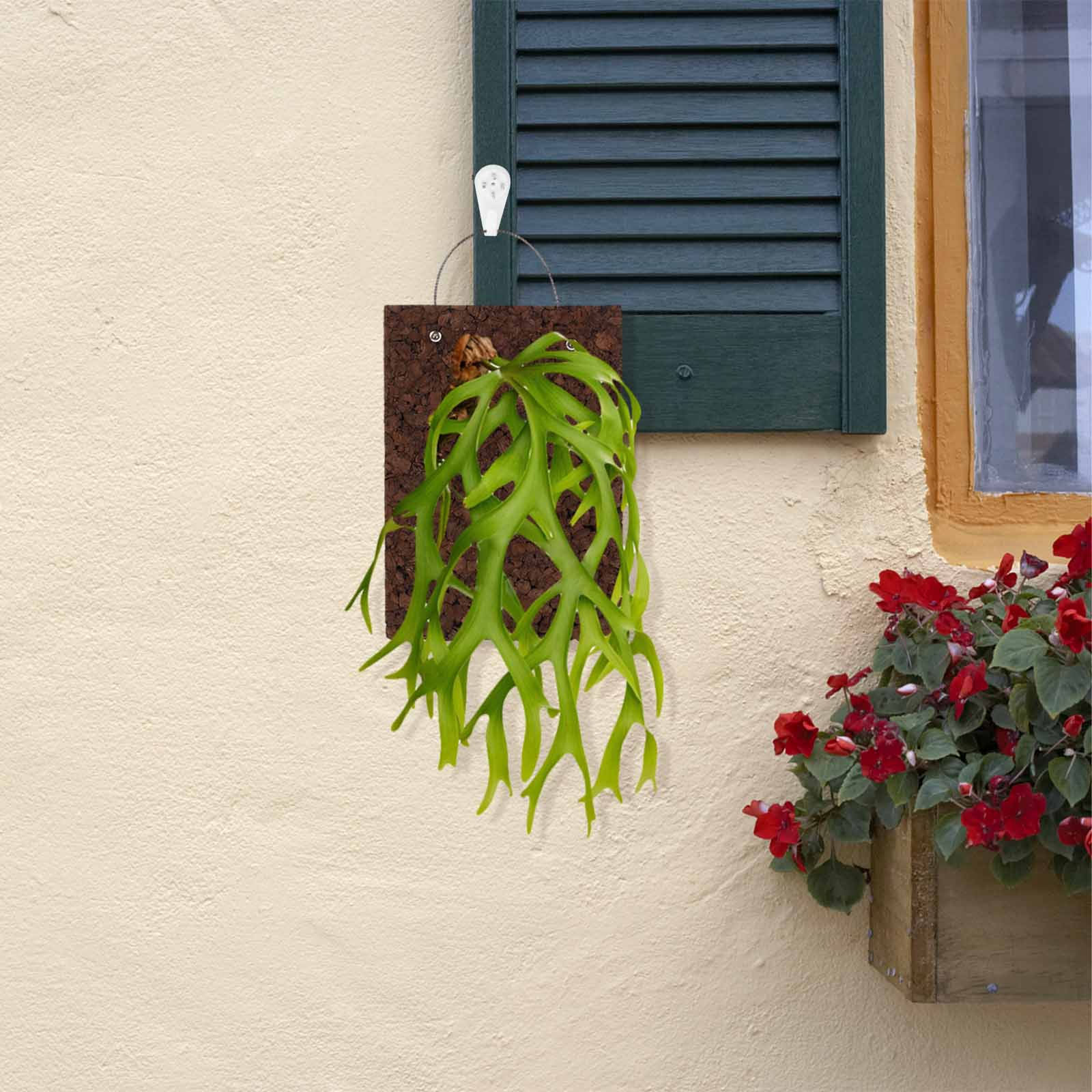 Rustieke Varenhouten Montagepl - Vertical Wall Planter recensie en prijs