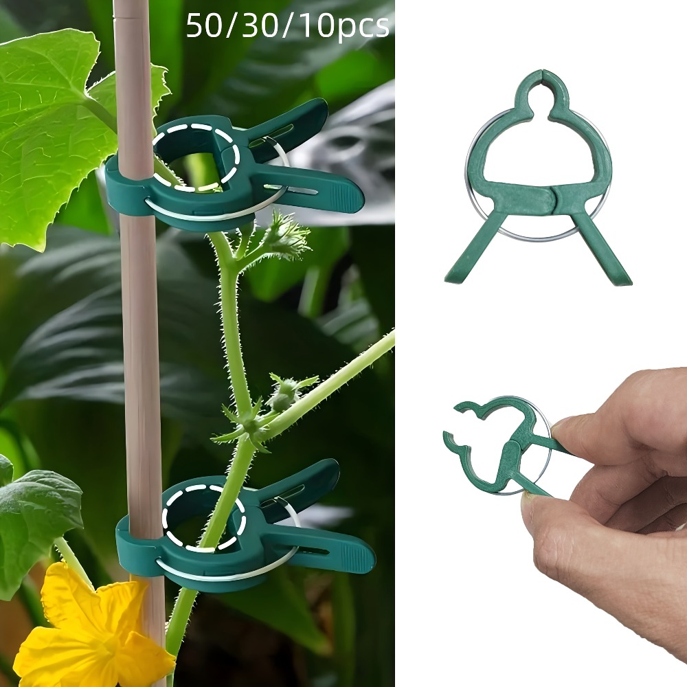 10/30/50 stuks verstelbare pla - Essential Gardening Tools recensie en prijs