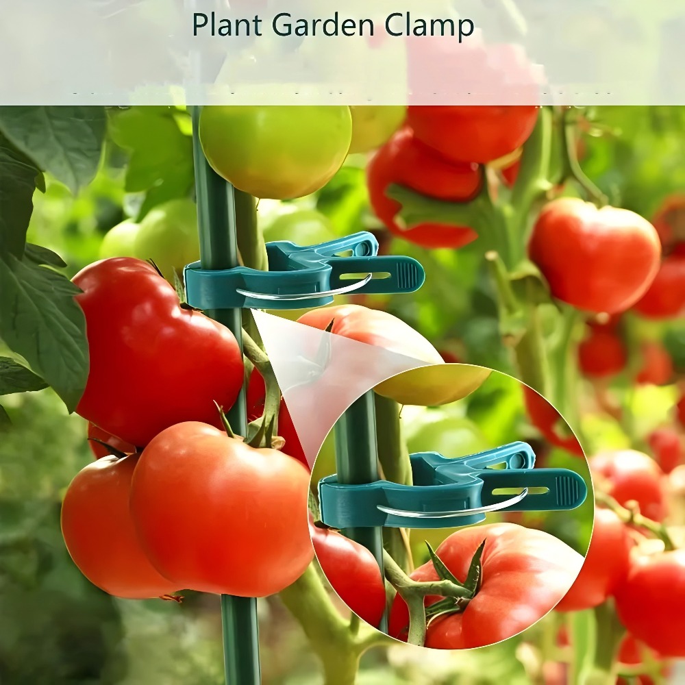 10/30/50 stuks verstelbare pla - Essential Gardening Tools recensie en prijs