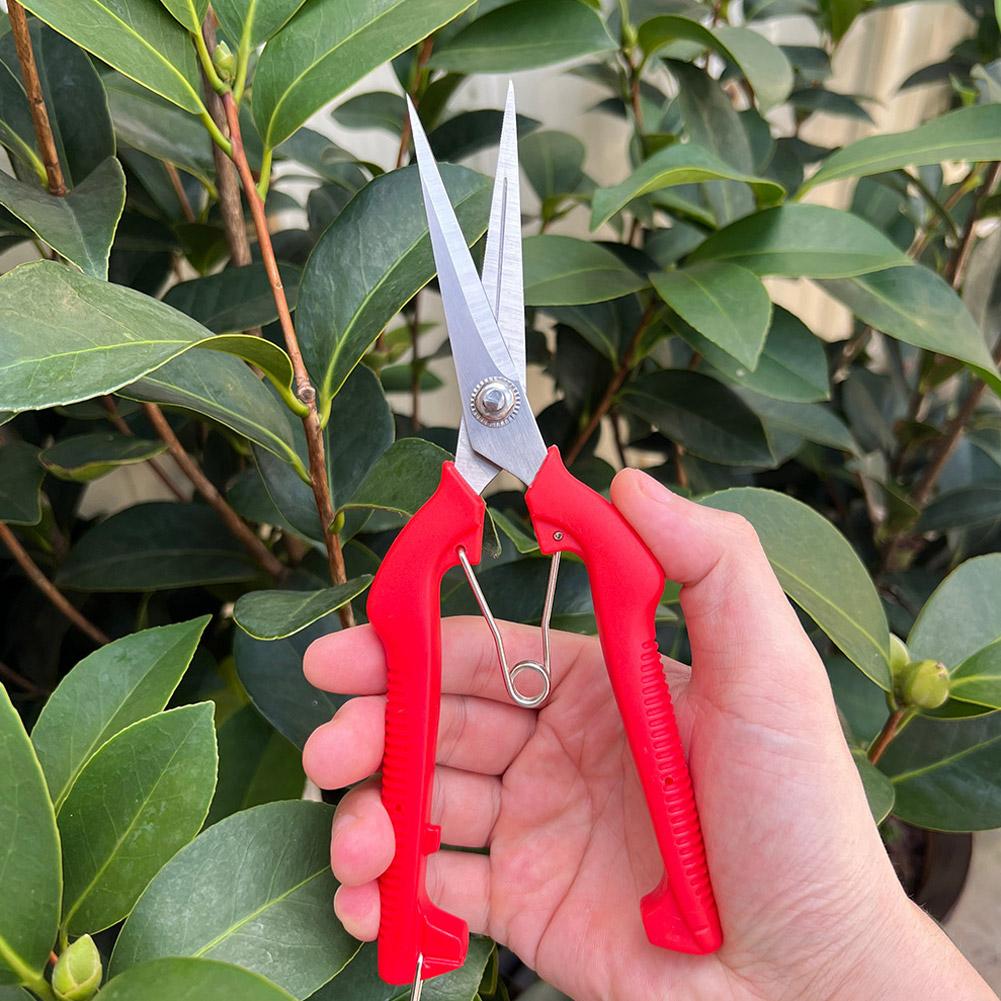 Pro Garden snoeischaar Verleng - Essential Gardening Tools recensie en prijs