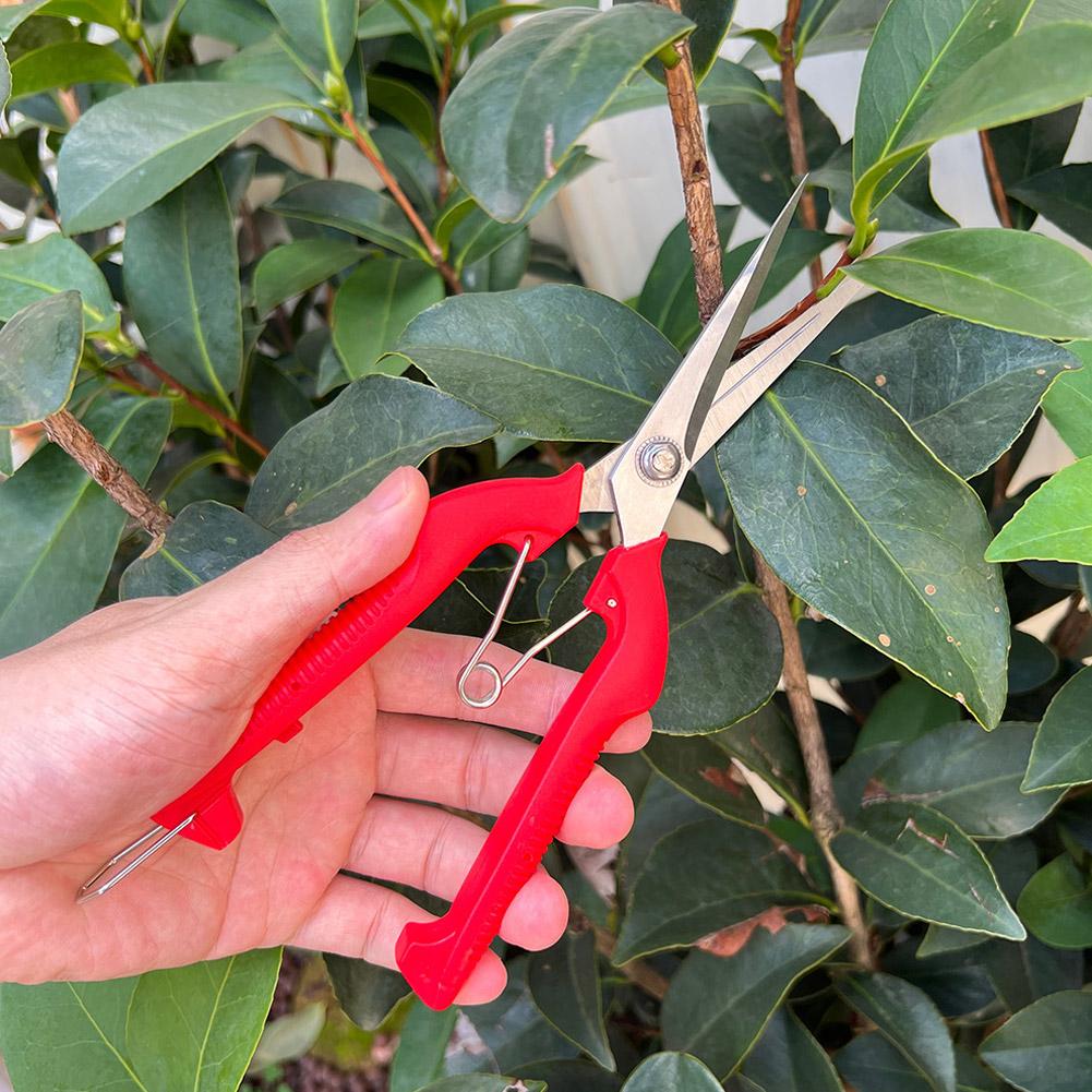 Pro Garden snoeischaar Verleng - Essential Gardening Tools recensie en prijs
