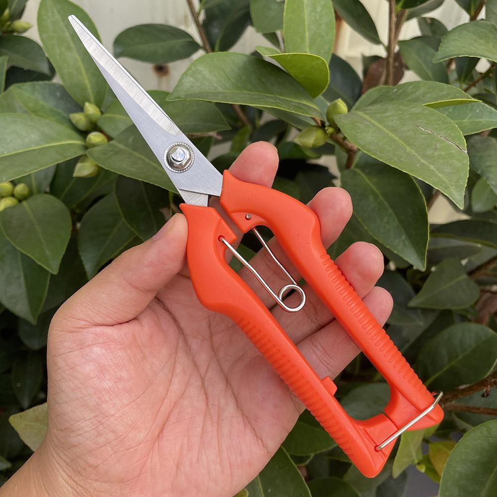 Pro Garden snoeischaar Verleng - Essential Gardening Tools recensie en prijs
