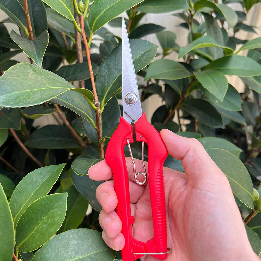 Pro Garden snoeischaar Verleng - Essential Gardening Tools recensie en prijs