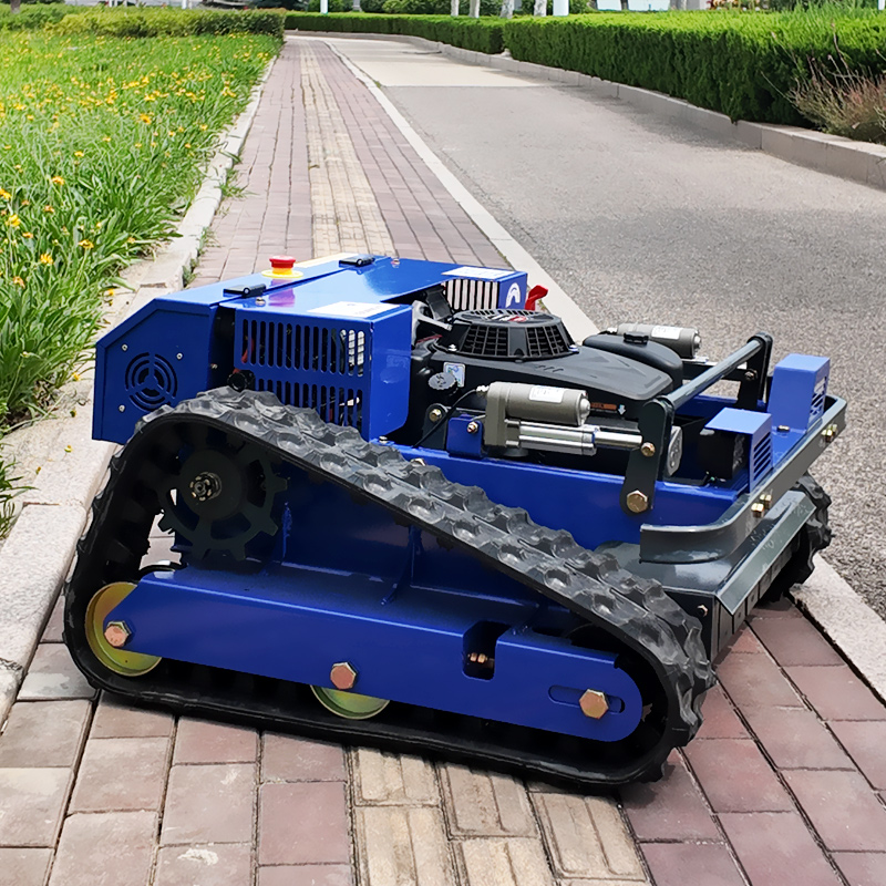 Op maat gemaakte CE EPA gecert - Gardening Tools Lawn Mower recensie en prijs
